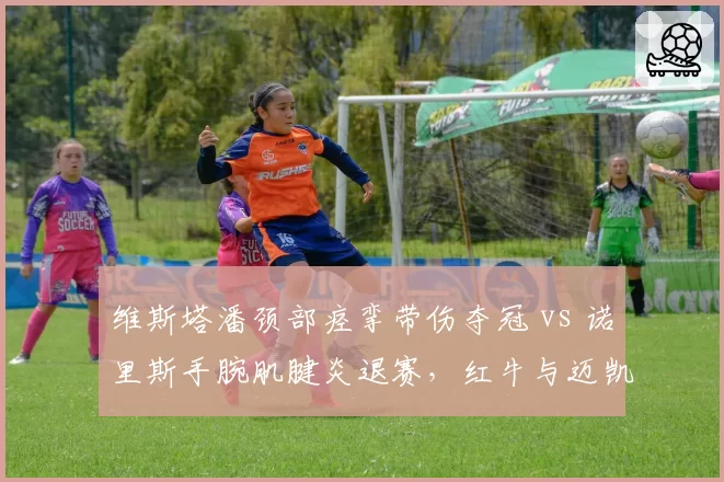 维斯塔潘颈部痉挛带伤夺冠 vs 诺里斯手腕肌腱炎退赛，红牛与迈凯伦医疗组决策差异